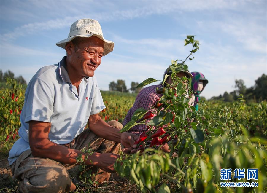 （在習(xí)近平新時(shí)代中國(guó)特色社會(huì)主義思想指引下——新時(shí)代新作為新篇章·總書記關(guān)切高質(zhì)量發(fā)展·圖文互動(dòng)）（1）翻過(guò)“貧困”山，通向“幸福”站——脫貧攻堅(jiān)“殲滅戰(zhàn)”里的小故事