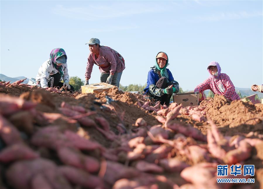 （在習(xí)近平新時(shí)代中國(guó)特色社會(huì)主義思想指引下——新時(shí)代新作為新篇章·總書記關(guān)切高質(zhì)量發(fā)展·圖文互動(dòng)）（2）翻過(guò)“貧困”山，通向“幸福”站——脫貧攻堅(jiān)“殲滅戰(zhàn)”里的小故事