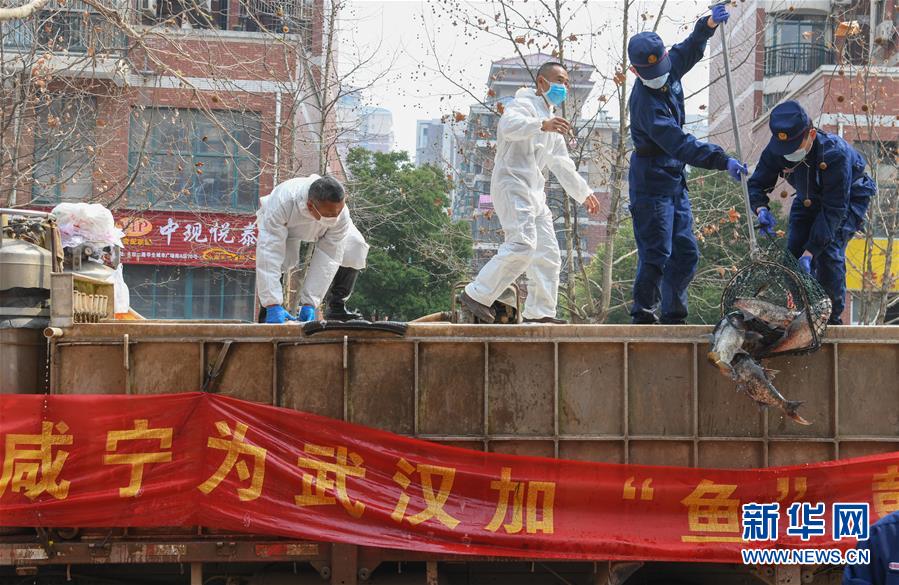 （新華全媒頭條·圖文互動）（12）從人民中汲取磅礴力量——習近平總書記同出席2020年全國兩會人大代表、政協(xié)委員共商國是紀實