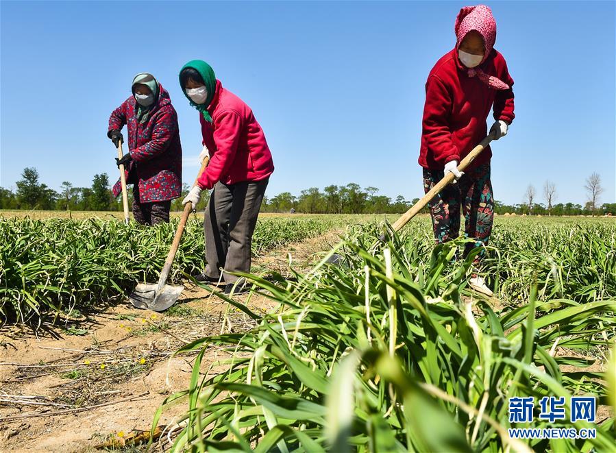 （新華全媒頭條·圖文互動）（17）從人民中汲取磅礴力量——習近平總書記同出席2020年全國兩會人大代表、政協(xié)委員共商國是紀實